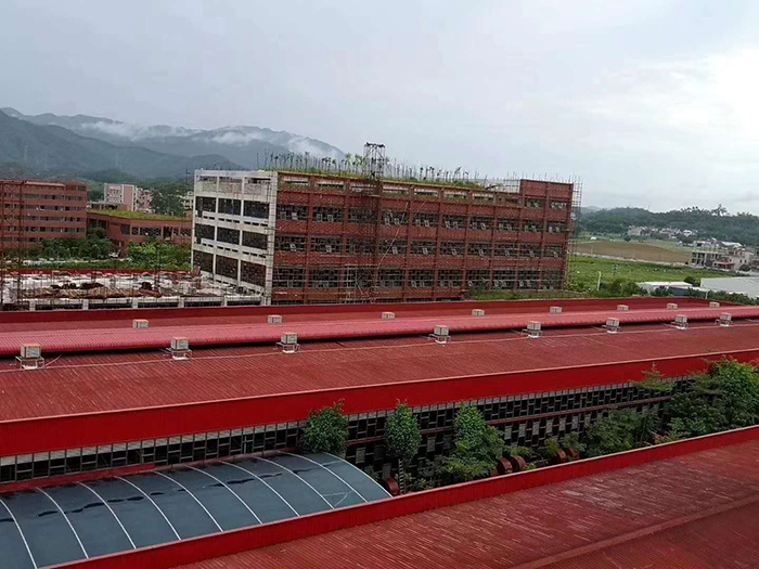 节能榴莲视频APP污黄案例