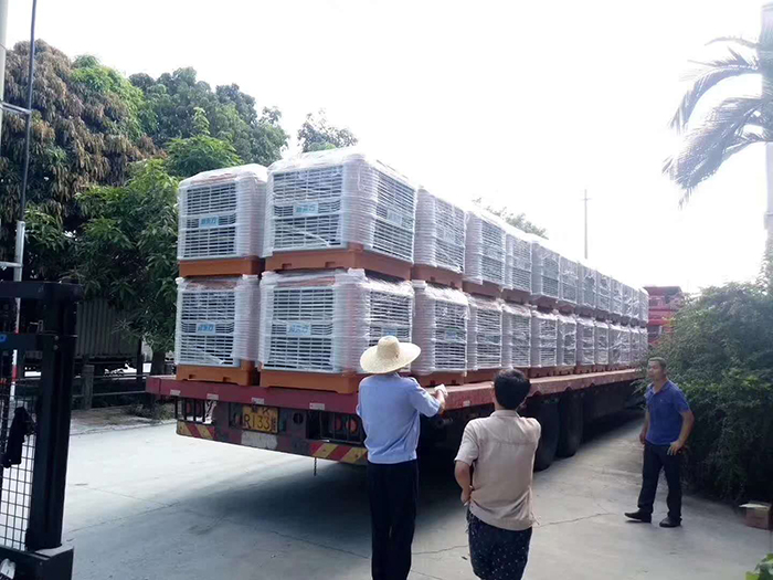 榴莲视频APP污黄主机