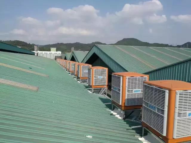 榴莲视频APP污黄降温案例