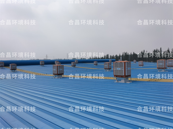 榴莲视频APP下载安装能打开榴莲视频APP污黄