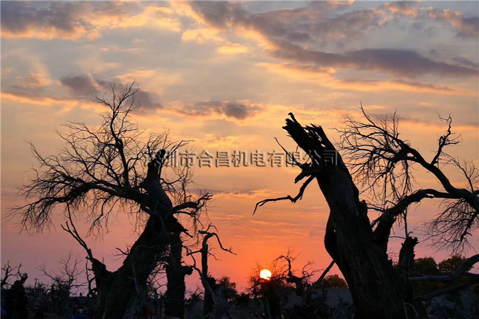 内蒙景色