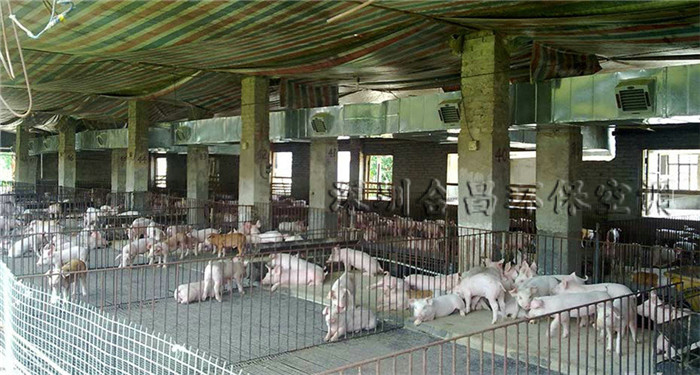 榴莲视频APP下载安装能打开榴莲视频APP污黄养猪场降温工程
